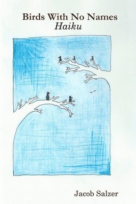 Jacob Salzer - Birds with No Names, Häftad