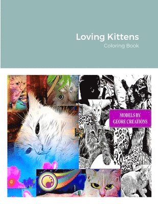 Gilmore Publishing, George Creations - Loving Kittens, Häftad