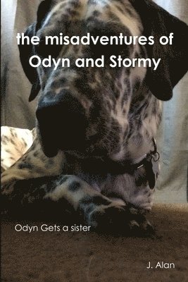 bokomslag the Misadventures of Odyn and Stormy