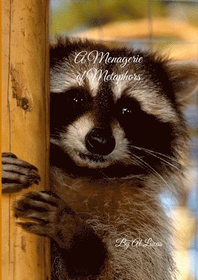 Menagerie of Metaphors