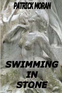 bokomslag Swimming in Stone