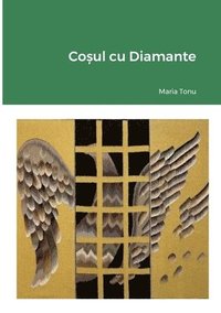bokomslag Co?ul cu Diamante