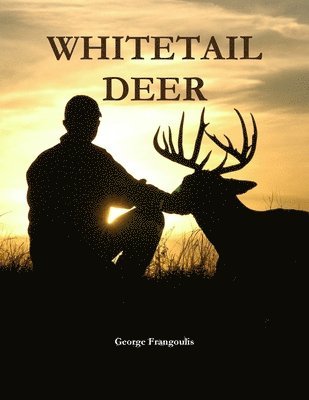 Whitetail Deer 1