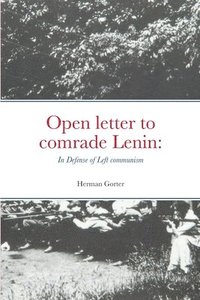 bokomslag Open letter to comrade Lenin