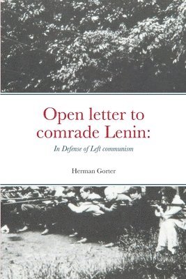 bokomslag Open letter to comrade Lenin