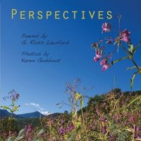 bokomslag Perspectives