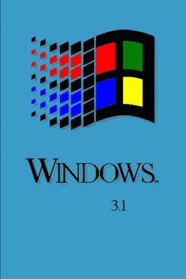 bokomslag Windows 3.1