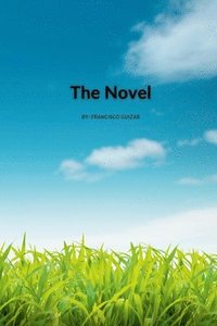 bokomslag The Novel