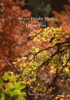 Never Doubt That I Love You 1