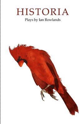 Ian Rowlands - Historia, Häftad