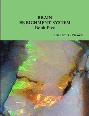 Richard L. Newell - Brain Enrichment System Book Five, Häftad