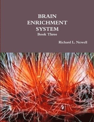 Richard L. Newell - Brain Enrichment System Book Three, Häftad
