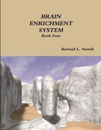 bokomslag Brain Enrichment System Book Four