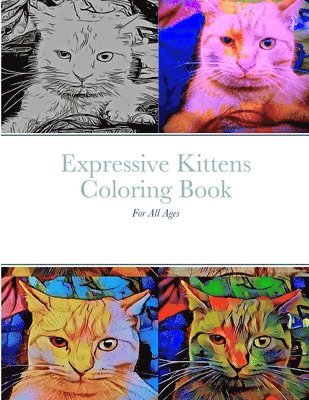 Expressive Kittens Coloring Book 1