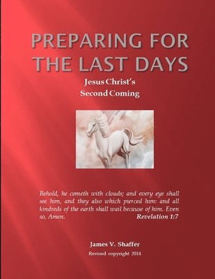 bokomslag Preparing for The Last Days