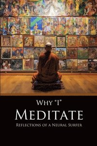 bokomslag Why I Meditate