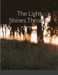 bokomslag The Light Shines Through