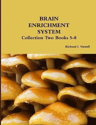 bokomslag Brain Enrichment System Collection Two Books 5-8