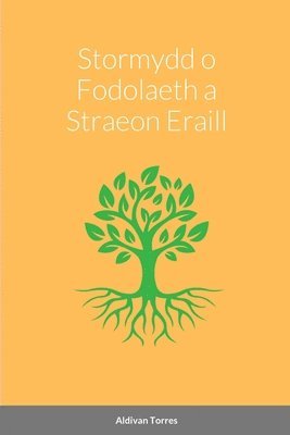 bokomslag Stormydd o Fodolaeth a Straeon Eraill