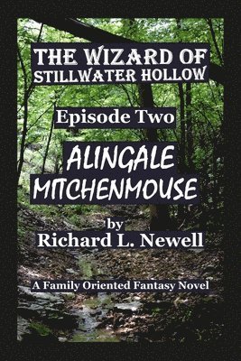 Richard L Newell, Richard L. Newell - Wizard of Stillwater Hollow Episode Two Alingale Mitchenmouse, Häftad