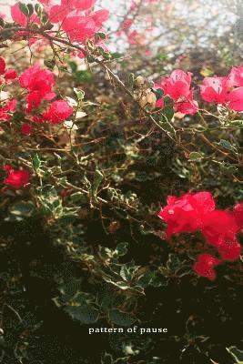 Noah Hayden - Pattern of Pause, Häftad