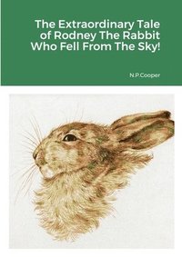 bokomslag The Extraordinary Tale of Rodney The Rabbit Who Fell From The Sky
