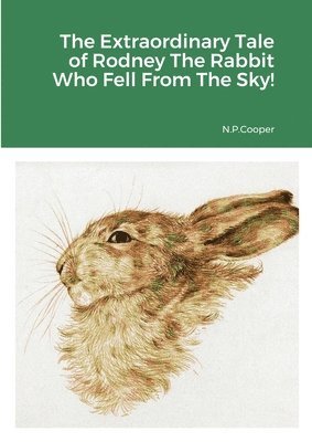 bokomslag The Extraordinary Tale of Rodney The Rabbit Who Fell From The Sky