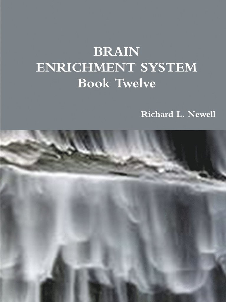 Richard L. Newell - Brain Enrichment System Book Twelve, Häftad