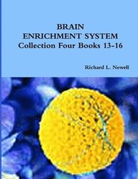 bokomslag BRAIN ENRICHMENT SYSTEM Collection Four Books 13-16