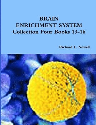 bokomslag BRAIN ENRICHMENT SYSTEM Collection Four Books 13-16