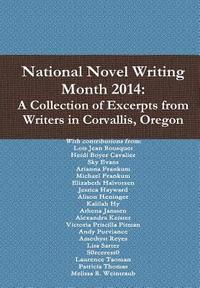 bokomslag National Novel Writing Month 2014