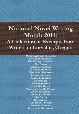 bokomslag National Novel Writing Month 2014