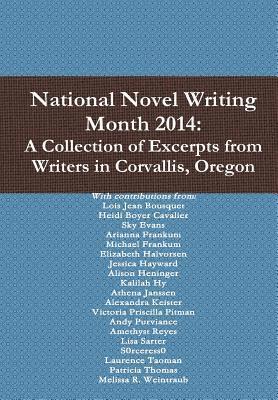 bokomslag National Novel Writing Month 2014