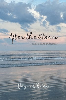 Wayne O'Brien - After the Storm, Häftad
