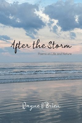 After the Storm 1