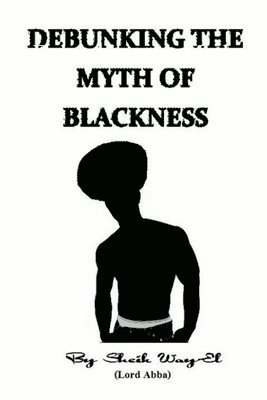 bokomslag Debunking the Myth of Blackness