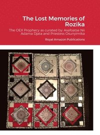 bokomslag The Lost Memories of Rozika
