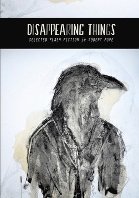 Robert Pope - Disappearing Things, Häftad