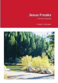 bokomslag Jesus Freaks