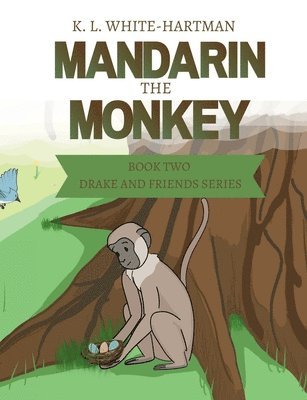 Mandarin the Monkey 1