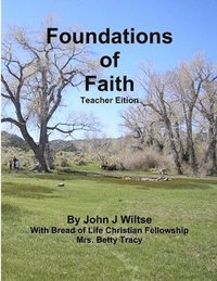 bokomslag Foundations of Faith Te