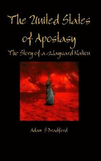 bokomslag The United States of Apostasy