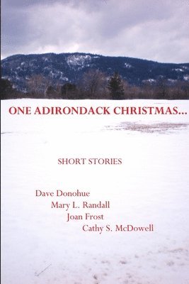 One Adirondack Christmas...