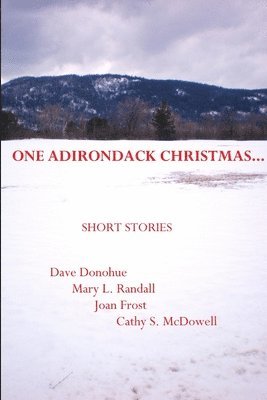 One Adirondack Christmas... 1