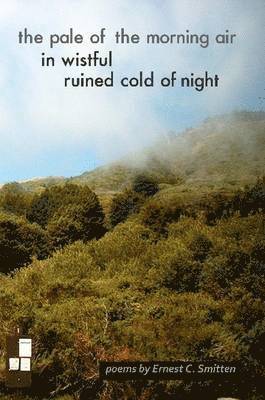 bokomslag Pale of the Morning Air in Wistful Ruined Cold of Night