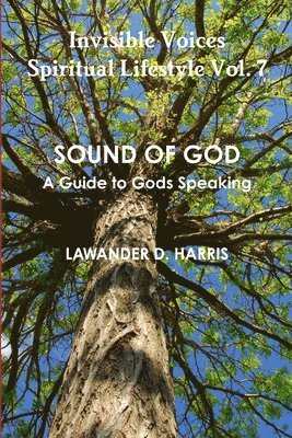 bokomslag Invisible Voices Spiritual Lifestyle Vol.7 Sound of God