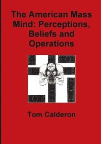 bokomslag The American Mass Mind: Perceptions, Beliefs and Operations