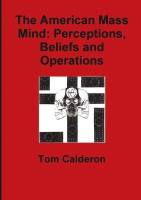 bokomslag The American Mass Mind: Perceptions, Beliefs and Operations