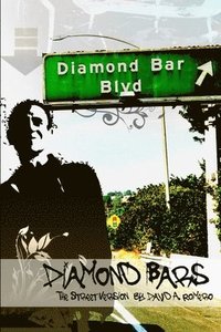 bokomslag Diamond Bars: the Street Version