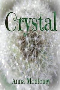 bokomslag Crystal